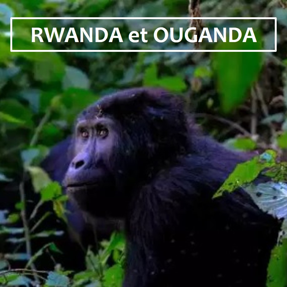 Rwanda FR